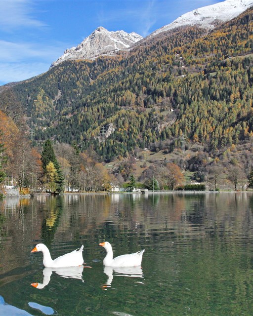 Lago di Poschiavo