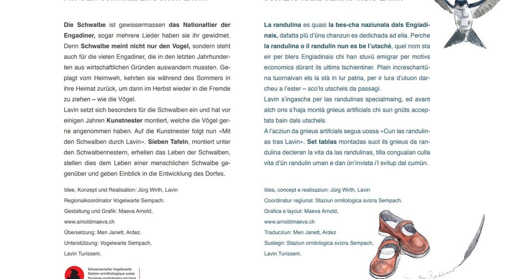 Mit den Schwalben durch Lavin (oua_24013661_image)