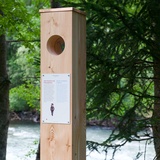 Rheinquellweg Transit