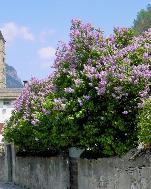 Poschiavo