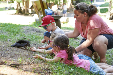 Hungry squirrels waiting to be fed
