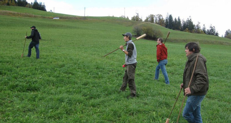 Mazza Cula (oua_24147626_image)