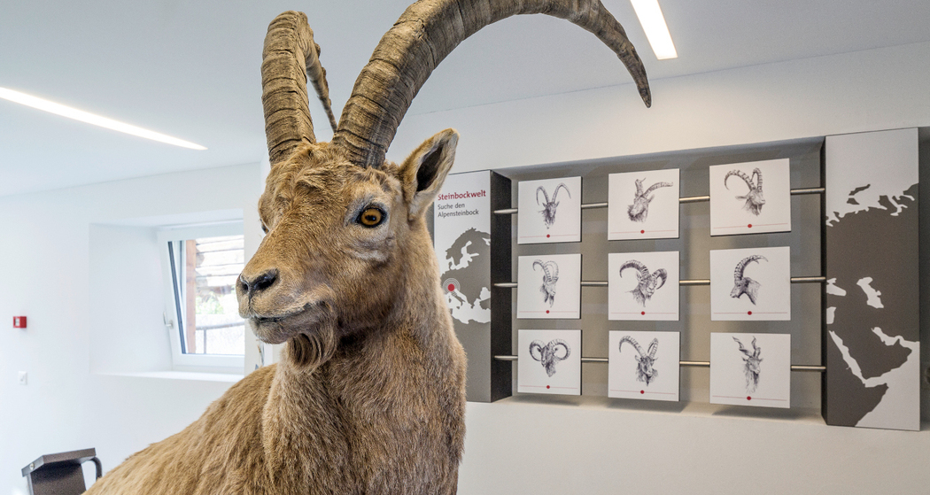 Capricorn Ausstellung