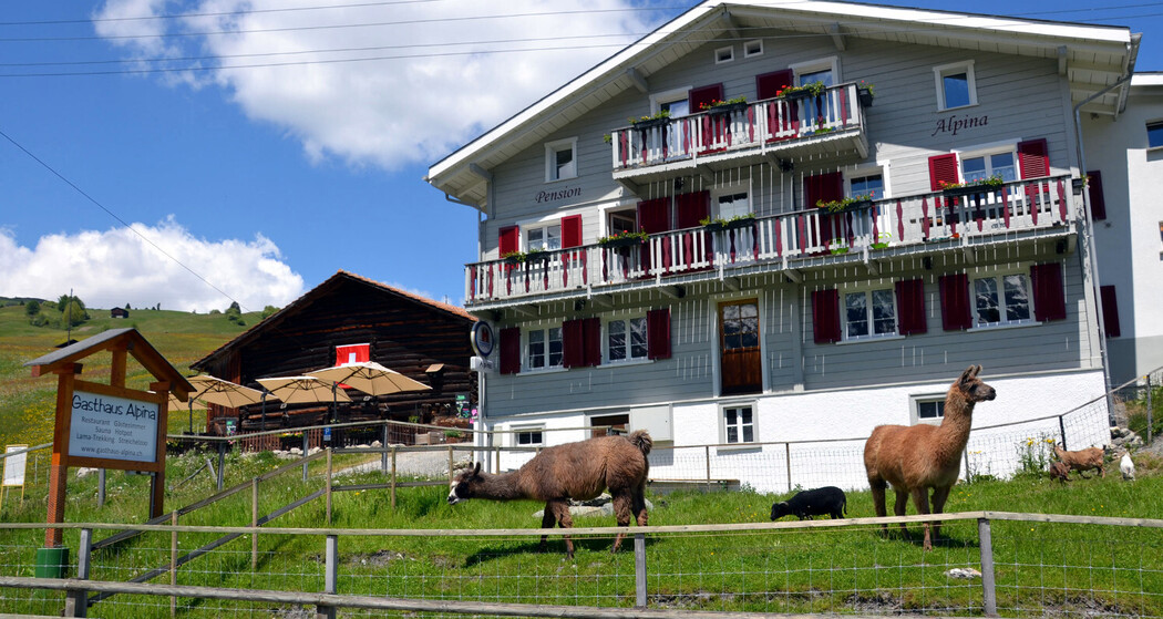 Gasthaus Alpina Sommer