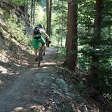 Trail-Spass in den Wäldern