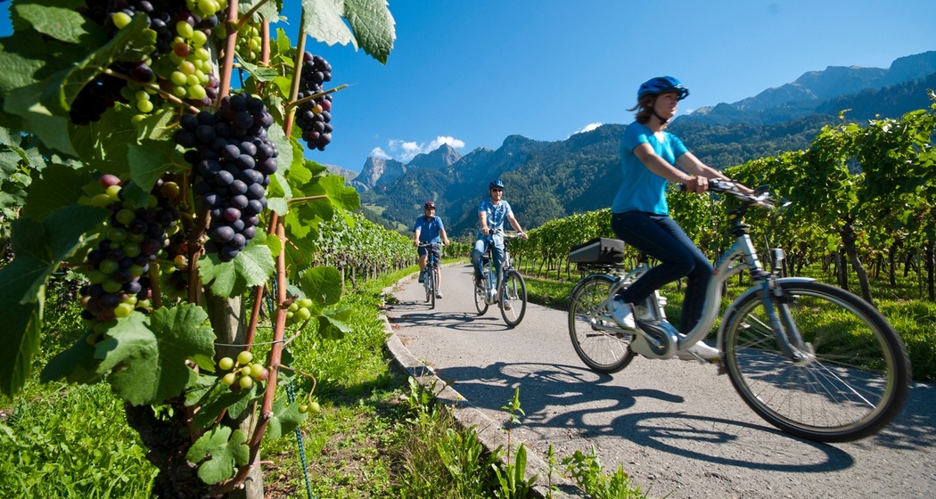 Unterwegs in der Weinregion Bündner Herrschaft