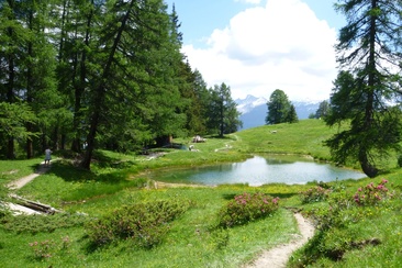 Trailrun Tigignas - Somtgant - Savognin (oua_24218570_image)