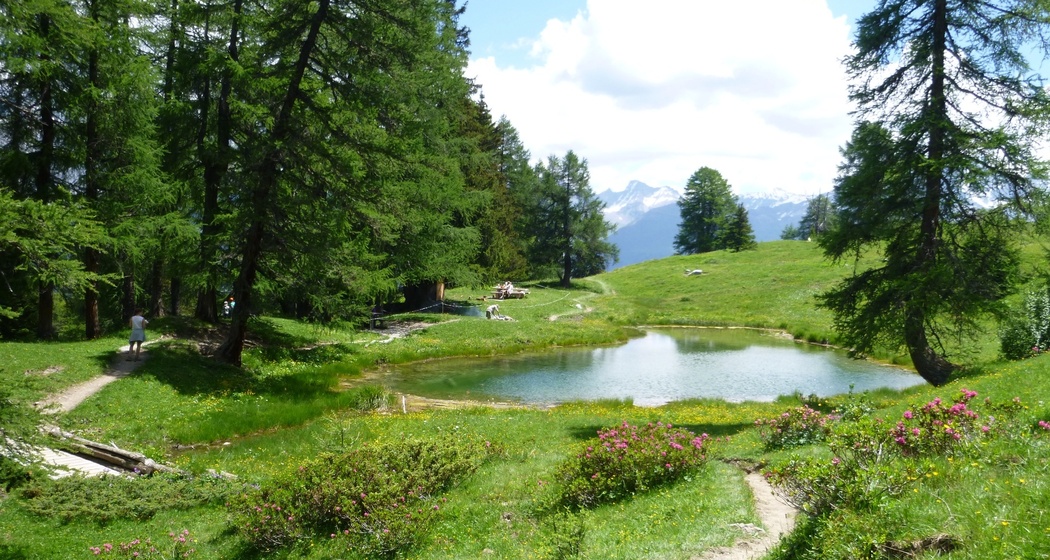 Trailrun Tigignas - Somtgant - Savognin (oua_24218570_image)