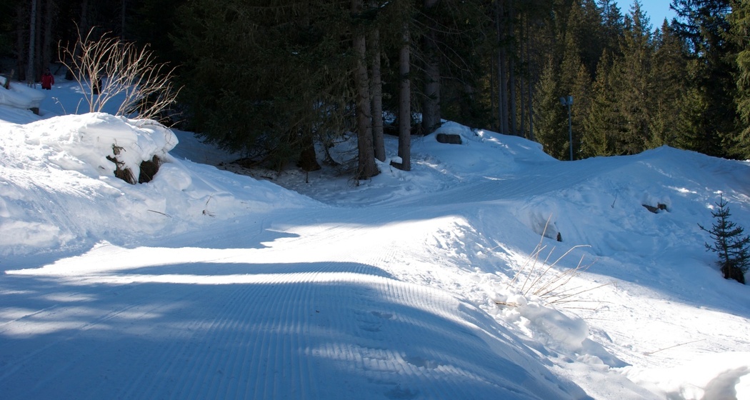 Schlittelbahn Splügen