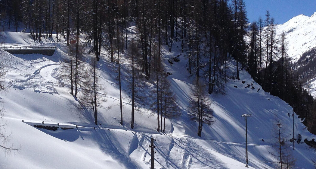 Schlittelweg Avers-Cröt