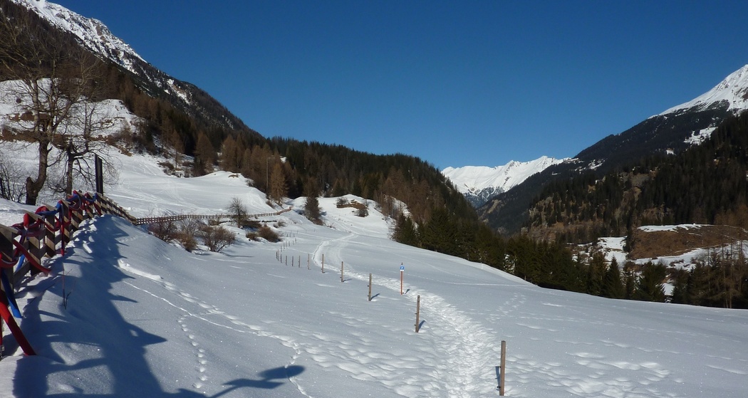 Schneeschuhtrail Bergünerstein