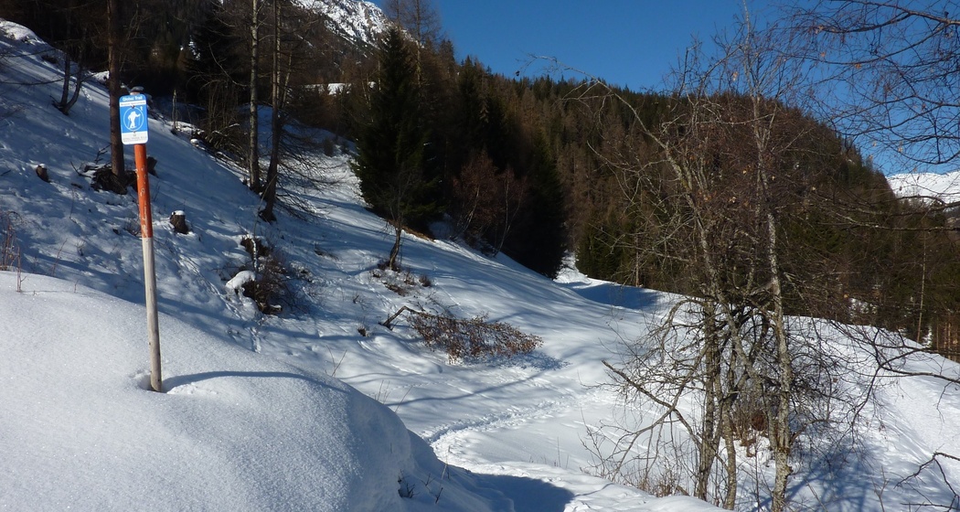 526 Schneeschuhtrail Bergünerstein (oua_24237451_image)