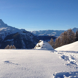 View of the Piz Beverin