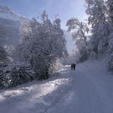 chemin de randonnée hivernale