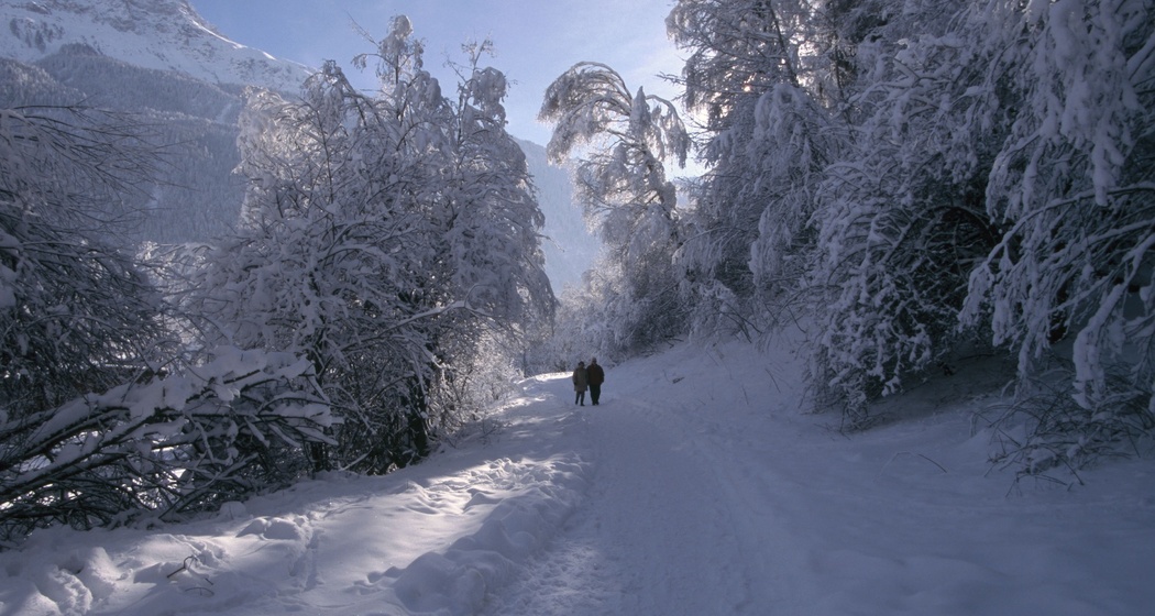 Winterwanderweg