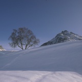 Lavin – Alp Zeznina (Rundtour) (oua_24318562_image)