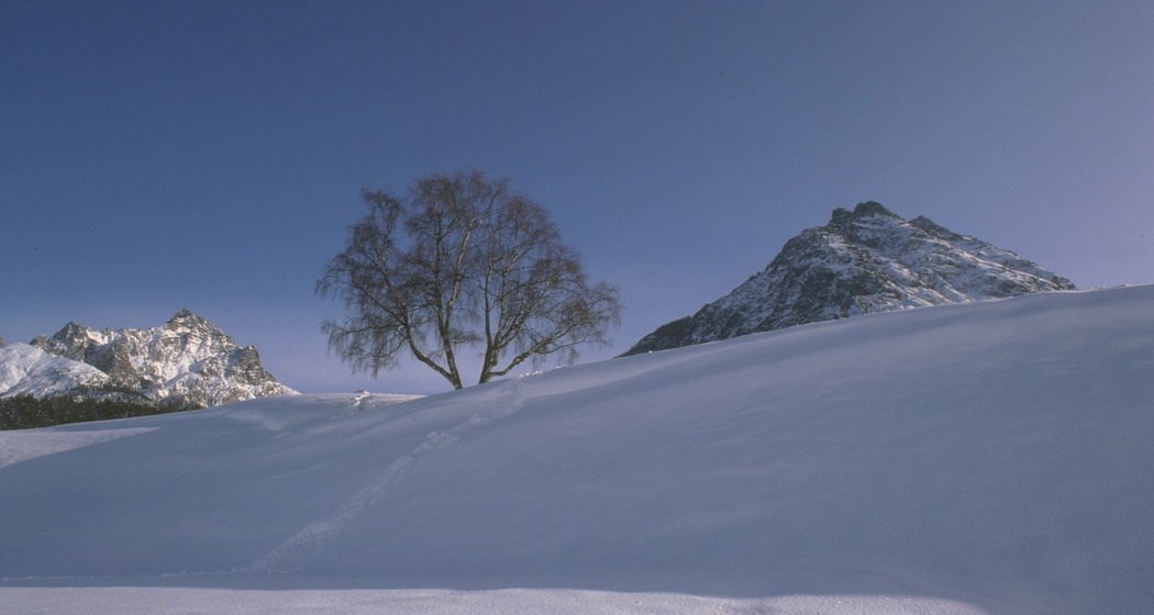 Lavin – Alp Zeznina (Rundtour) (oua_24318562_image)