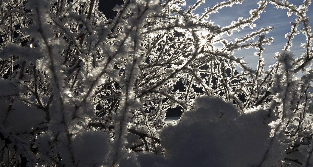 Mundaditsch – Griosch – Zuort (oua_24319337_image)