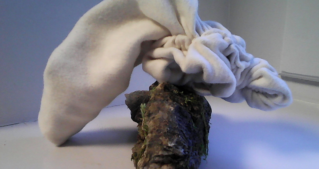 Chasa settanta (oua_24350352_image)