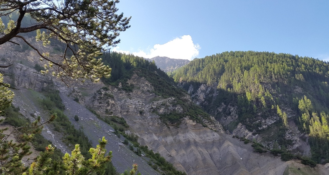 Jenisberg (oua_24727477_image)