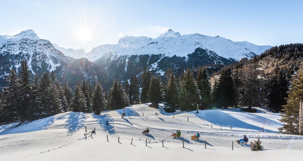 Schlittenweg Alp Flix - Sur (oua_24901885_image)