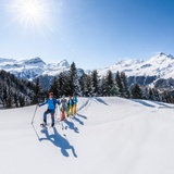 573 Alp Flix - Schneeschuhtrail (oua_24904092_image)