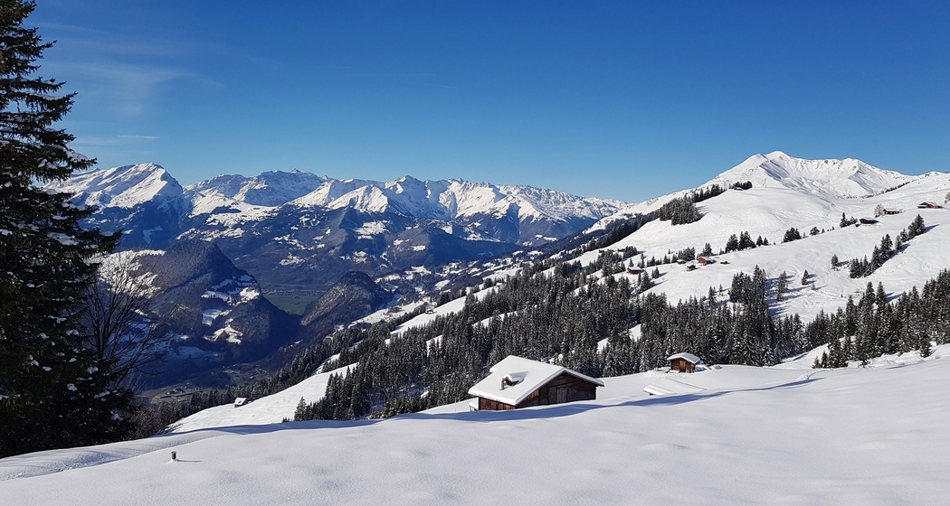 Blick Richtung Calanda / Bündner Rheintal.