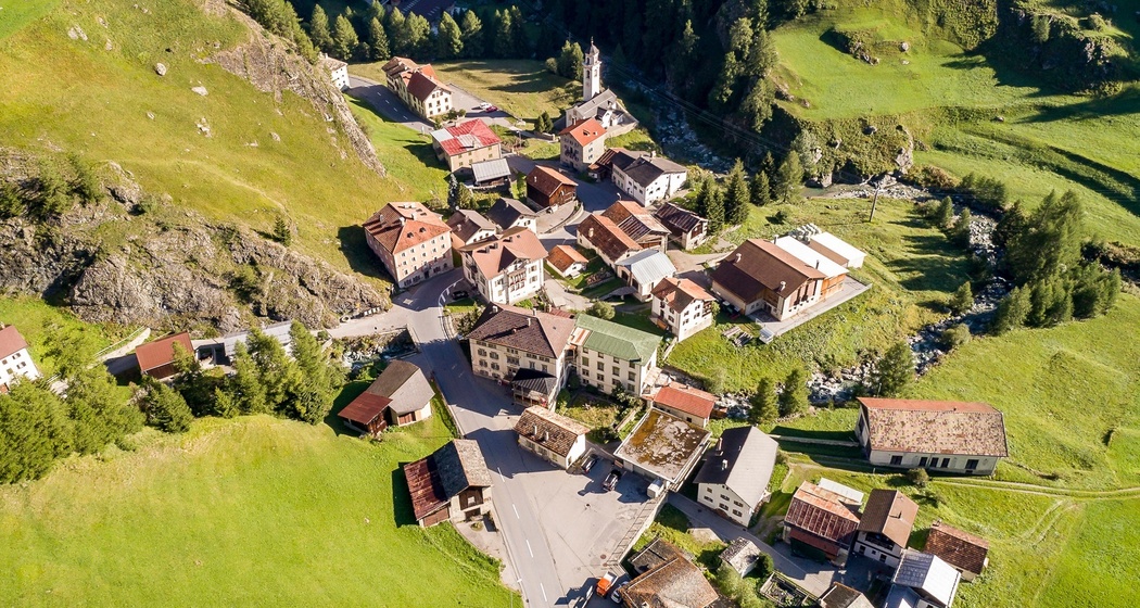 Mulegns (oua_25025589_image)