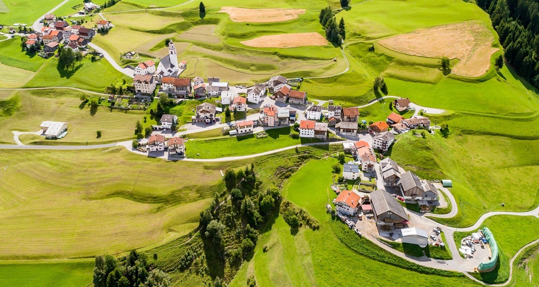 Parsonz (oua_25025612_image)