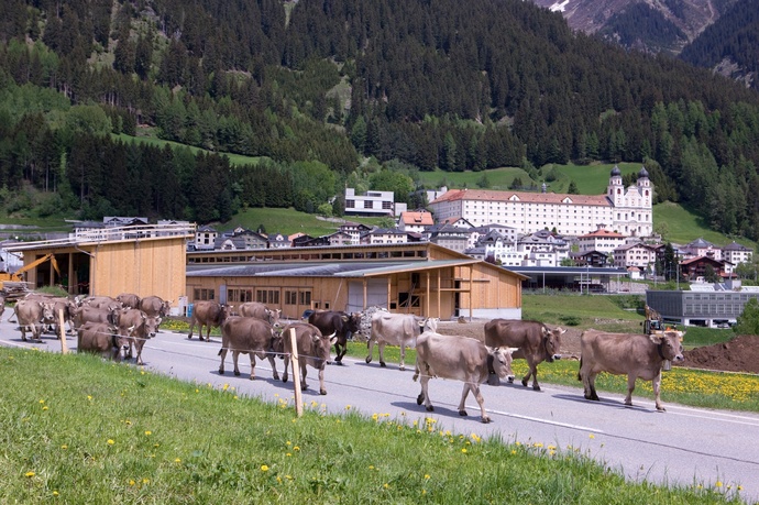 Center Sursilvan - Klosterstall