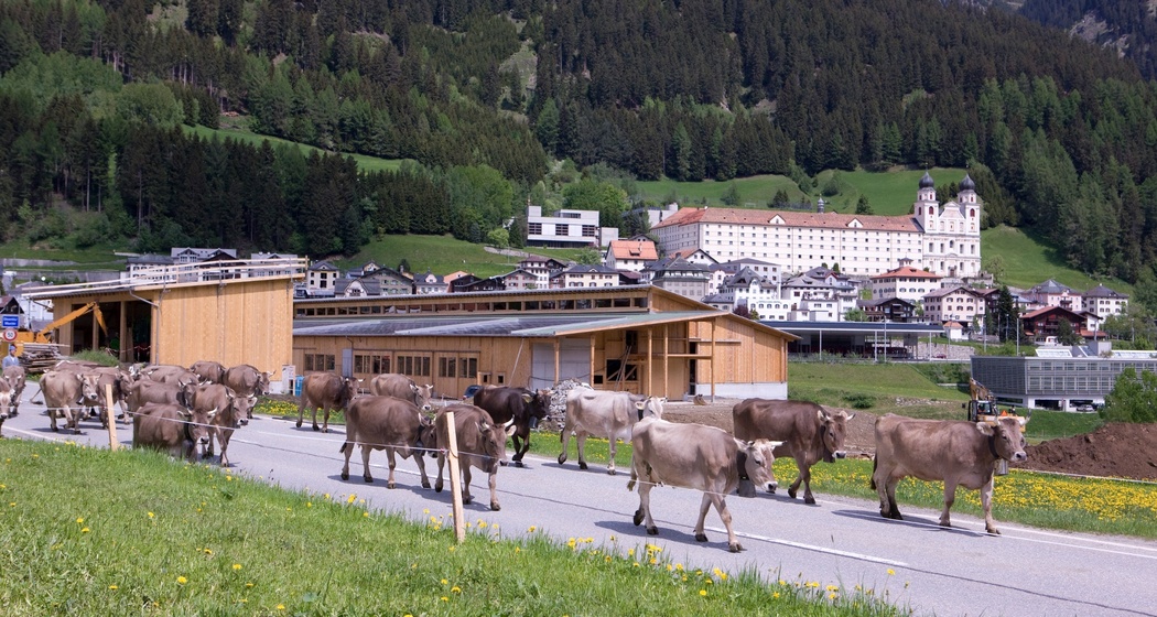 Center Sursilvan - Klosterstall