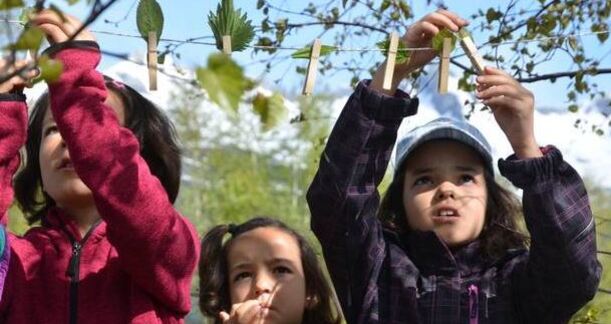 Schulgruppen willkommen