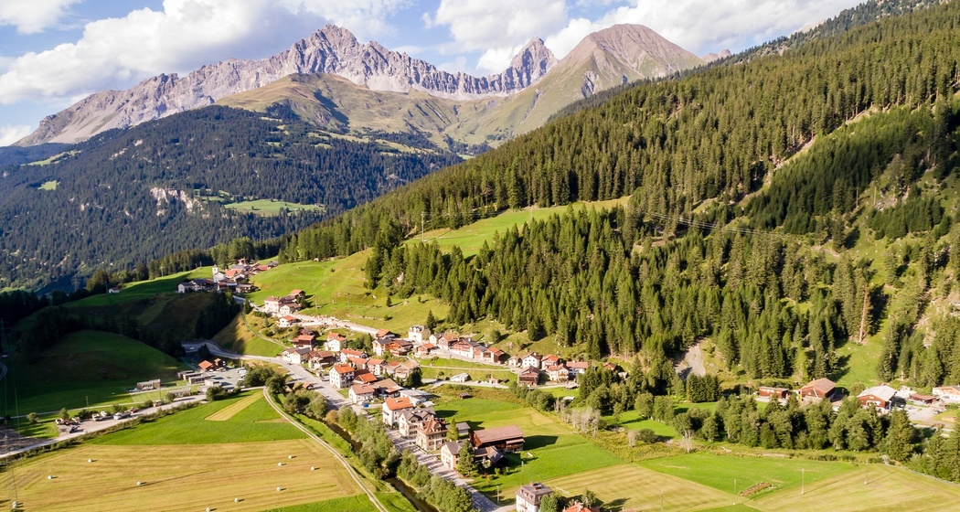 Rona (oua_25042595_image)