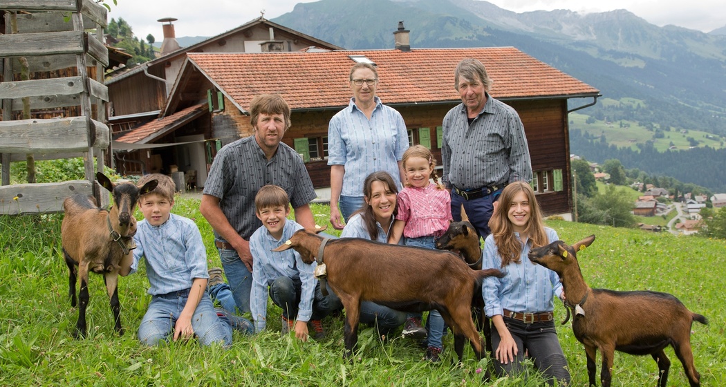 Regionale Produkte Geiss- Pur Pany (oua_25108401_image)