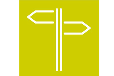 Die Kühe der Safier