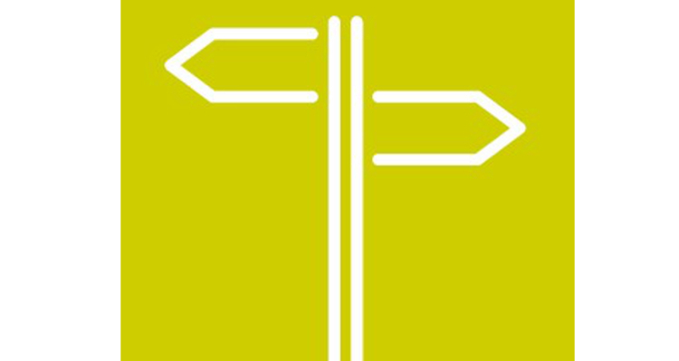 Die Kühe der Safier