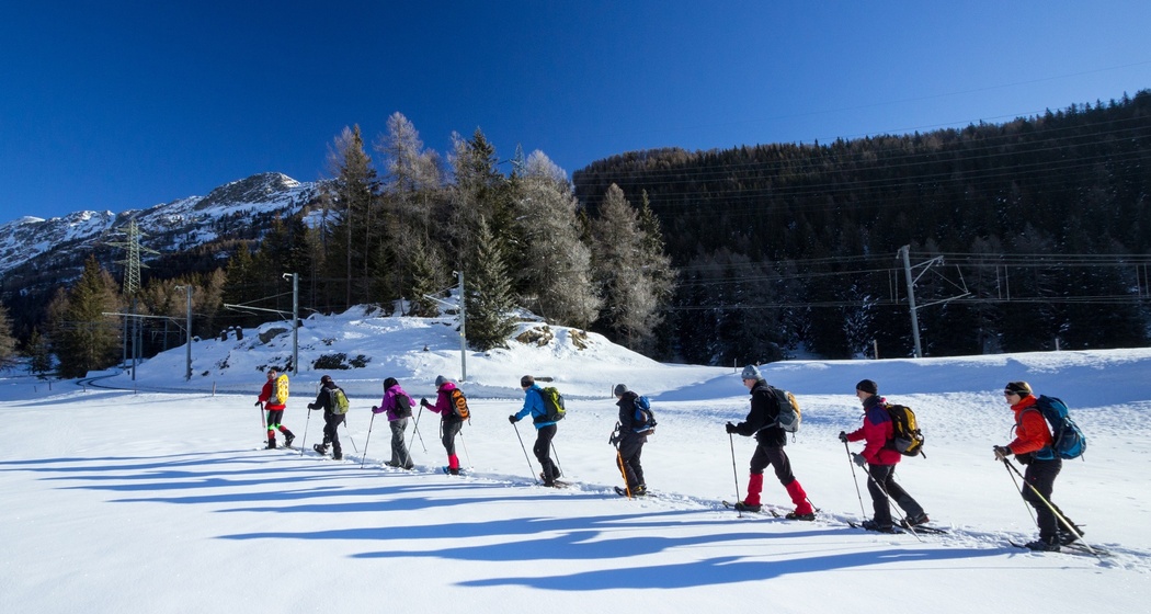 Schneeschuhwanderung Cavaglia (oua_25220136_image)