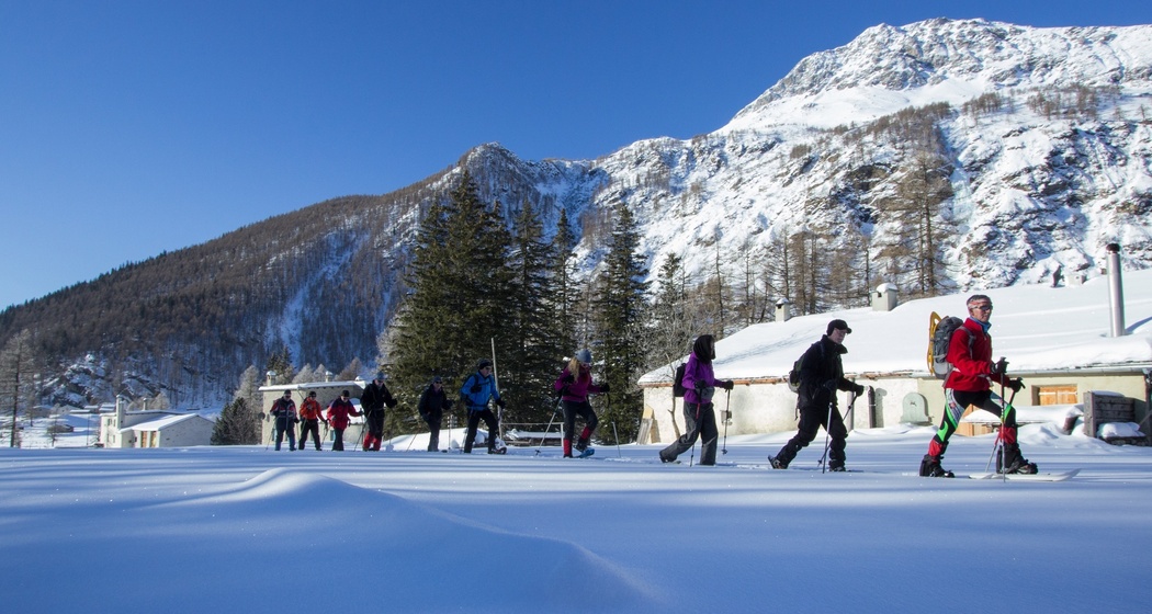 Schneeschuhwanderung Cavaglia (oua_25220137_image)