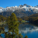 St. Moritzersee.