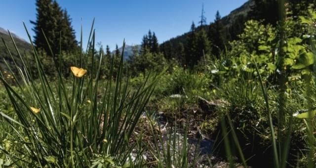 Vals Alter Zerfreilaweg; Foto: Lukas Schweizer