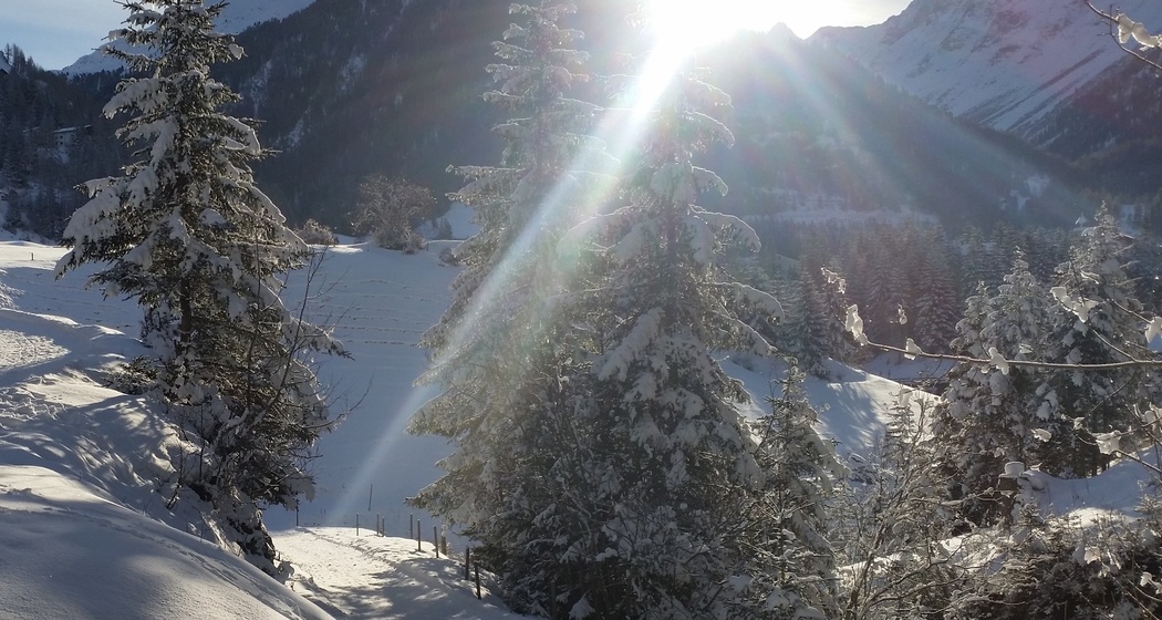 Preda - Naz - Preda (oua_25240901_image)