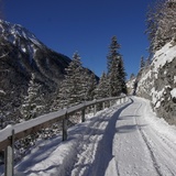 217 Bergün - Latsch - Stuls (oua_25241011_image)