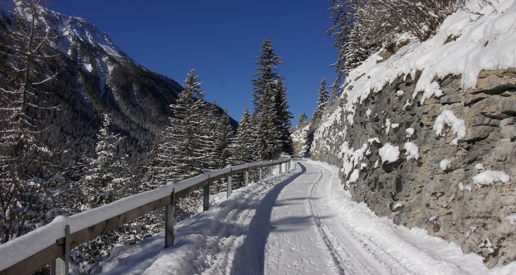 217 Bergün - Latsch - Stuls (oua_25241011_image)