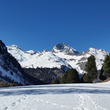 528 Schneeschuhtrail Palpuogna (oua_25266191_image)