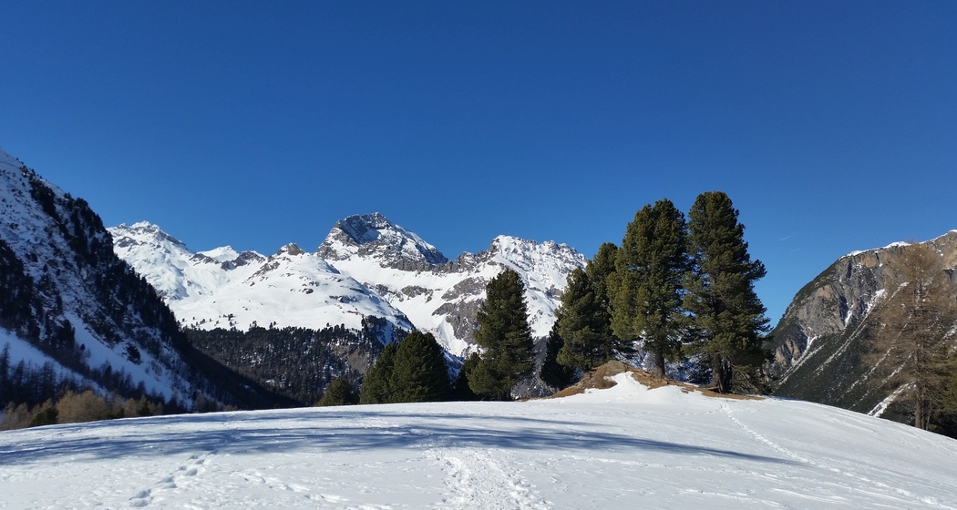 528 Schneeschuhtrail Palpuogna (oua_25266191_image)