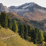 Flowtrail zur Alp Champatsch