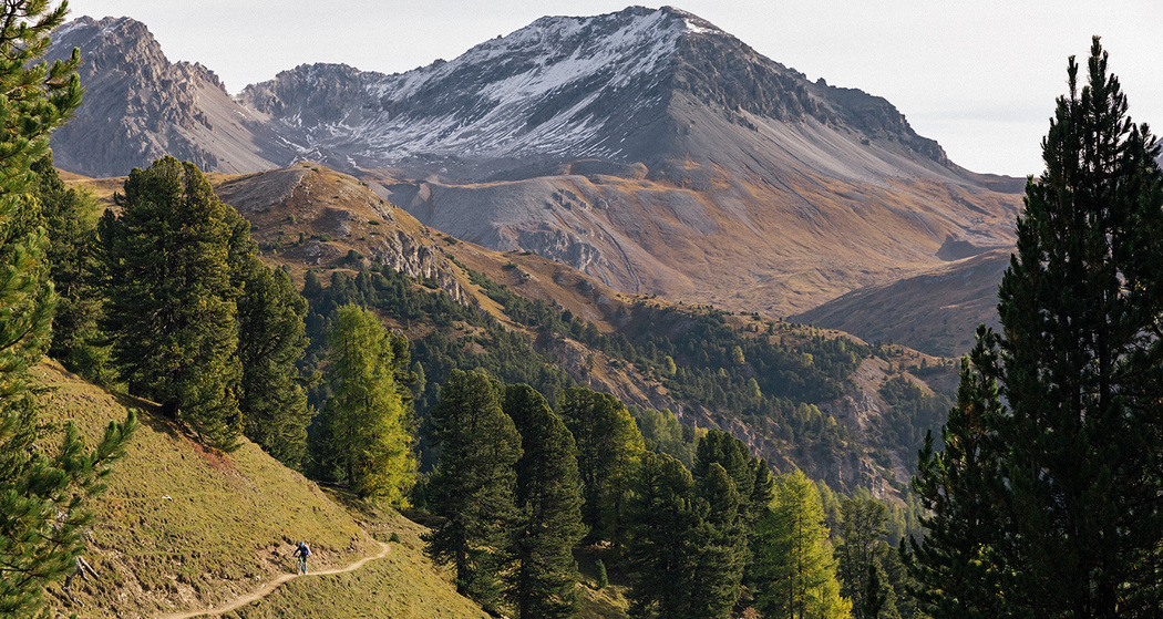 Flowtrail zur Alp Champatsch