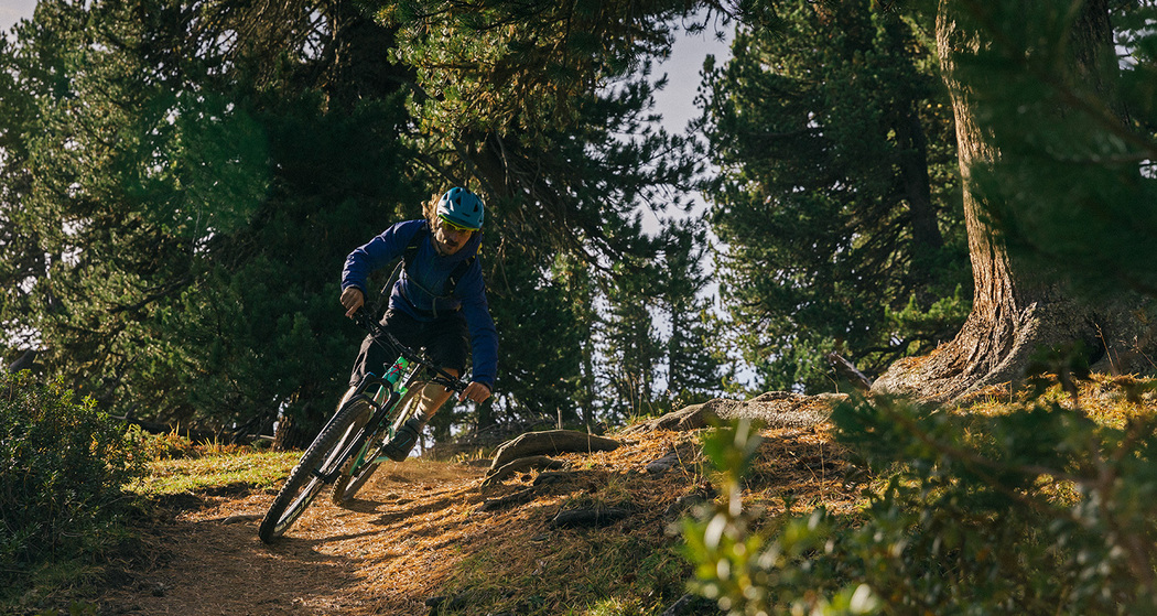 Waldabschnitt Alp Champatsch