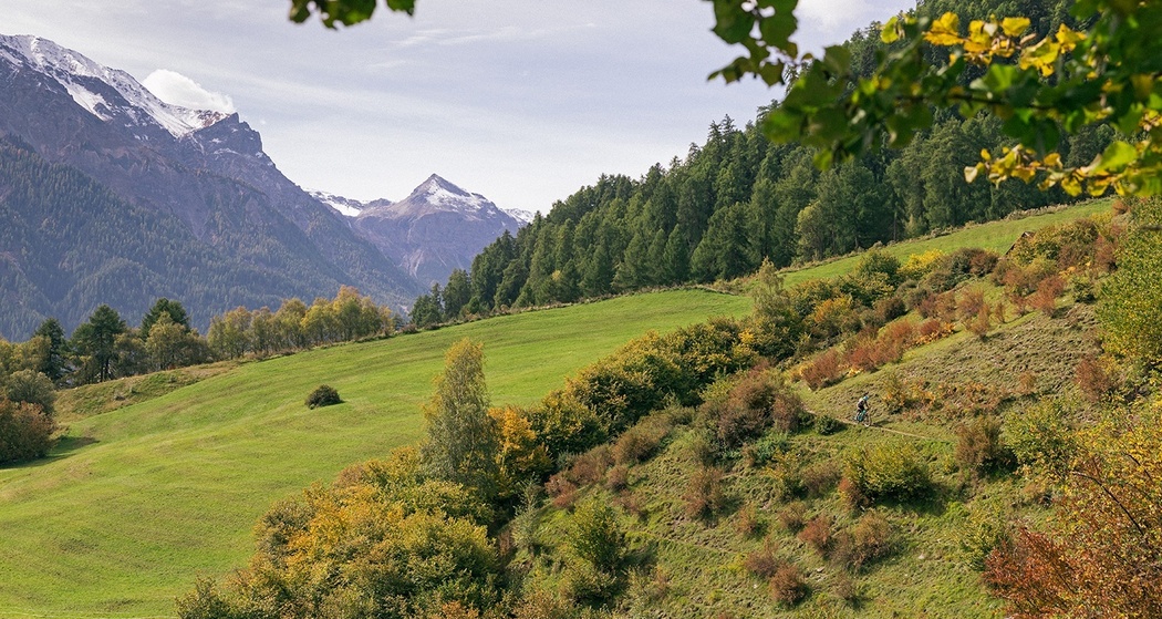Trailabschnitt oberhalb von Müstair