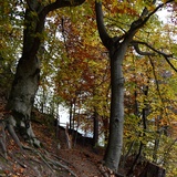 Runchett da Sotsassa